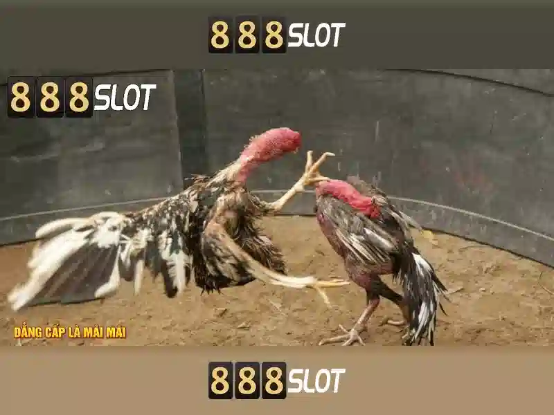 888SLOT – Trang Chủ 888SLOT – RTP Cao Nhất Cho Người Chơi Slot