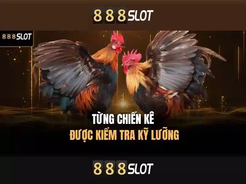 Trải nghiệm slot đỉnh cao với app 888SLOT