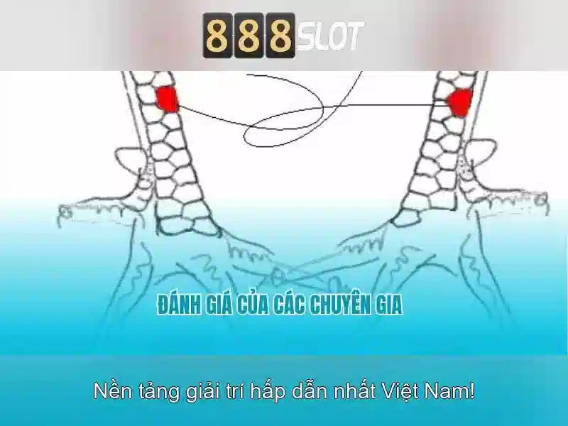 Đăng Nhập 888SLOT