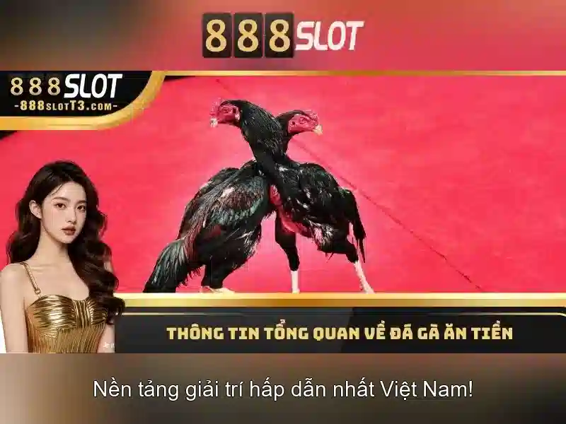 888SLOT – Nhà Cái Uy Tín Hàng Đầu Trong Ngành SLOT Với Dịch Vụ Chất Lượng 2026