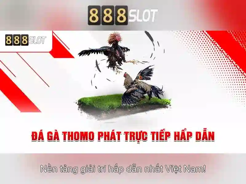 Bước 1: Đăng Nhập Tài Khoản