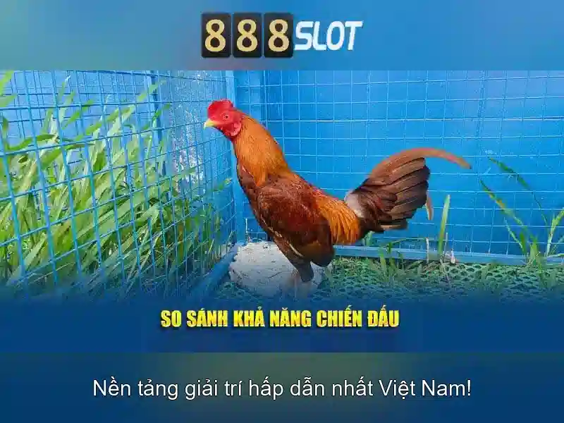 Hướng dẫn 888 slot tải app